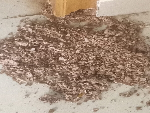 A1 Pest Control Service