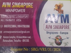 AVM Singapore Manpower