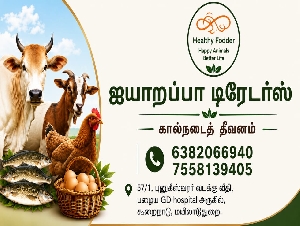 Aiyarappa Traders