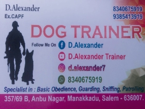 Alexander Dog Trainer