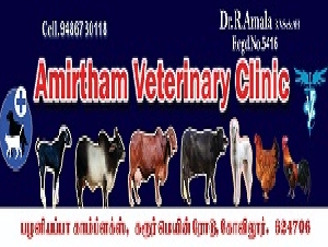 Amirtham Veterinary Clinic