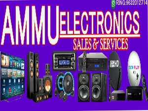 Ammu Electronics & System's