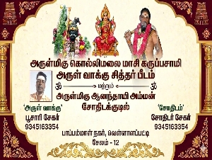 Arulmigu Anandhayi Amman Astrology Centre