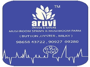 Aruvi Mushroom Farm