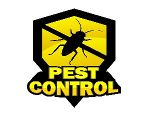 Asia Pest Control