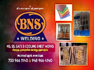 BNS Roofing Work