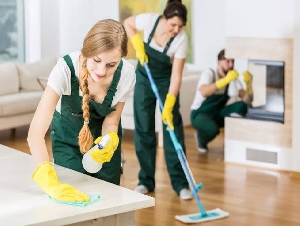 Balaji Home Cleaning Services