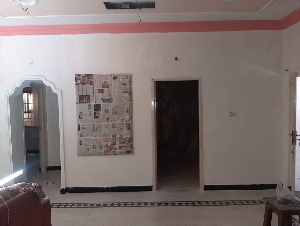 Butterfly House Painting