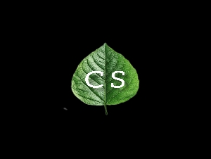 CS Home Made Essential Herbal Shampoo