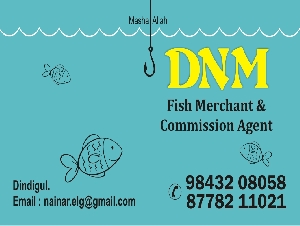 DNM Fish Merchant & Commission Agent