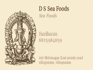 D S Sea Foods