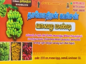 Damodaran Commission Vazhai Mandi