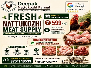 Deepak Nattukozhi Pannai