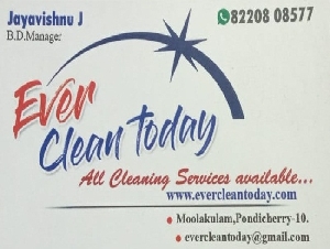 Ever Clean Today