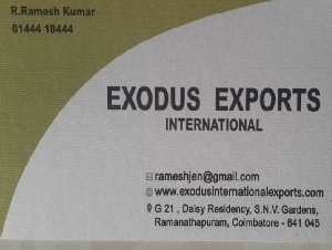 Exodus Exports