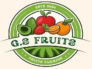 GS Fruits Watermelon & Muskmelon Commission Agent