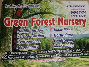 Green Forest Nursery