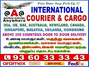 INTERNATIONAL COURIER AND CARGO