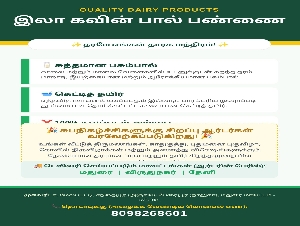 Ila Kavin Dairy Farm