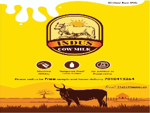 Indus A2 Cow Milk