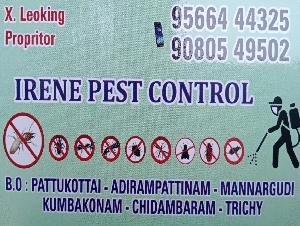 Irene Pest Control