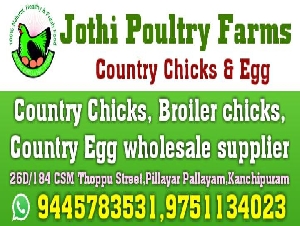 Jothi Poultary Farm