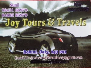 Joy Tours and Travels