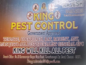 King Pest Control