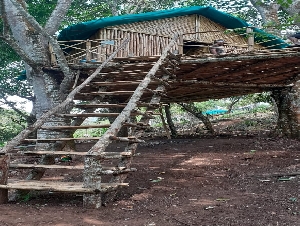 Kodai Tree Top Cottage