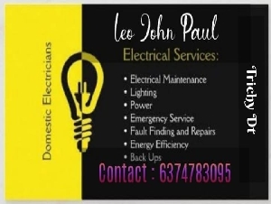 Leo Electrical Engineering Services