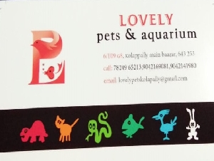 Lovely Pets and Aquarium