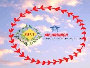 MP THESINGH CONSULTANCY OPC PRIVATE LIMITED