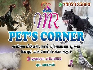 MR Pet's Corner