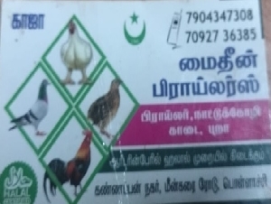Maideen Broilers