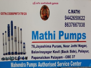 Mathi Pumps