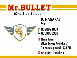 Mr.Bullet