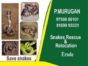 Murugan Snakes Rescue & Relocation