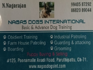 Nagas Dogs International