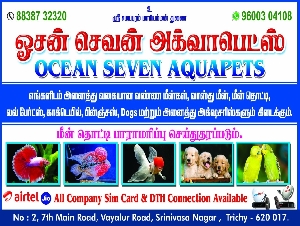 Ocean Seven Aquapets