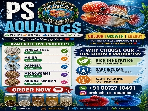 PS Aquatics
