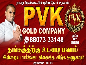 PVK Gold Company