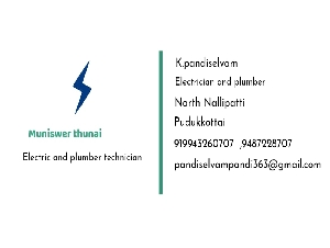 Pandiselvam Electrician and Plumber