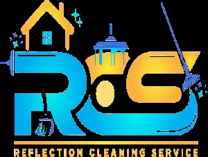 RCS Reflection Pipe Cleaning