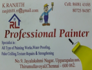 RL Professional Painter