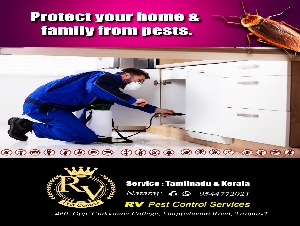 RV Pest Control Services