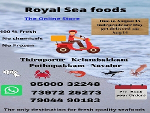 Royal Sea Foods