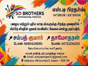 SD Brothers Professional Painters