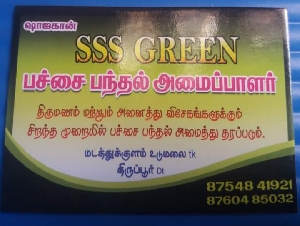 SSS Green Decoratorss