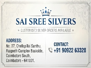 Sai Sree Silvers