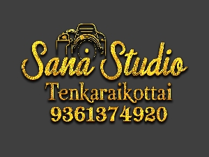 Sana Studio